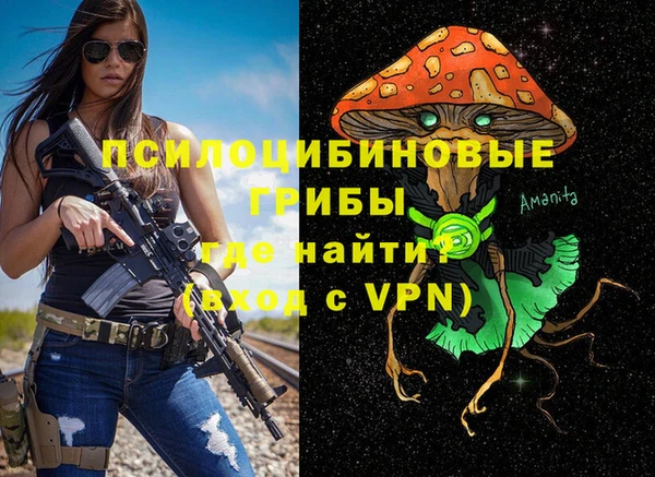 ешки Касимов